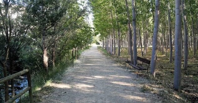 Spain Cycling