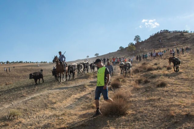 Granada active Tours