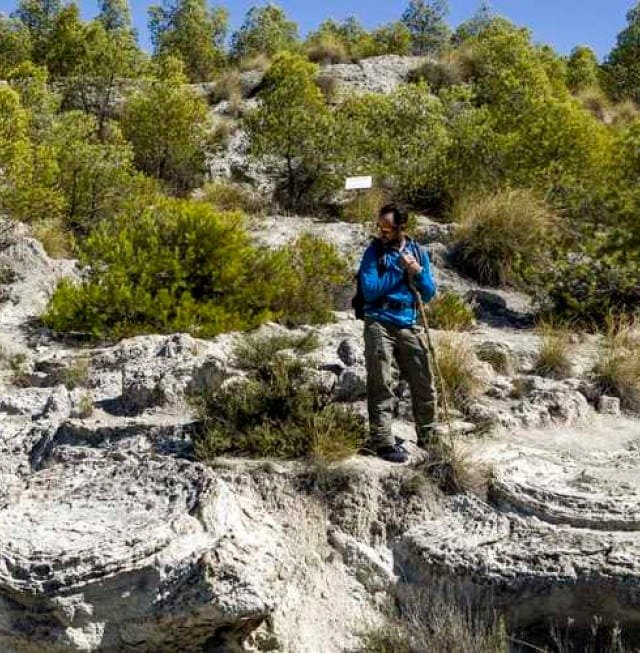 0cdd35e8cd8cf3094348b9cc030a46eac801062f