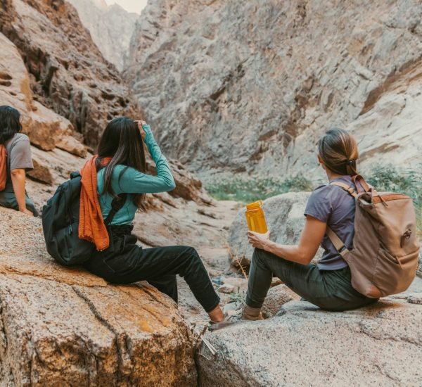 2bb672b540a557dfc98f4b0ce9b384c79fd7e765 scaled