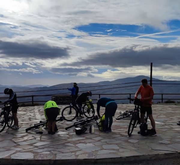 3c6c0d537586e0470db220893ab4423a