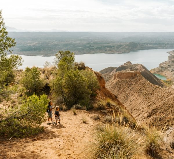 468478875 1320098415631545 3208431286994610816 n