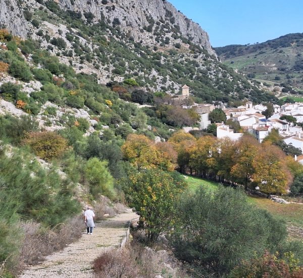 468701100 8515630868566052 644944161036823951 n