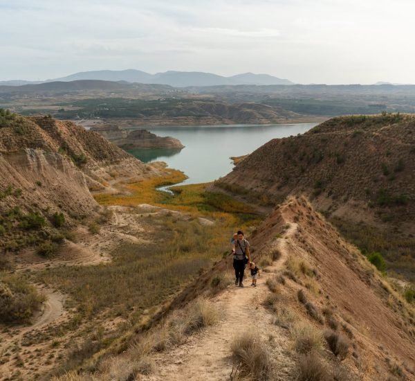 468905639 1320098192298234 2509350540547522878 n