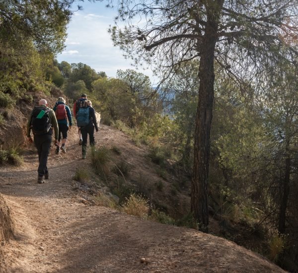 470677164 901305575528211 6653934011078575070 n