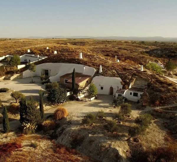 81787018 192e 45a5 8f27 70cfa48308ba (1)