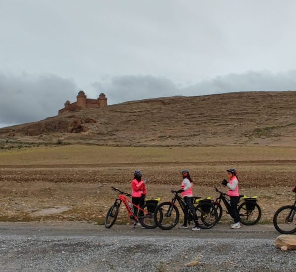 9978c97ca946ddebe33a65a27c447922 scaled